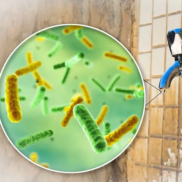 突發(fā),！水源微生物污染警報(bào)｜水廠應(yīng)急處置與消毒技術(shù)指南